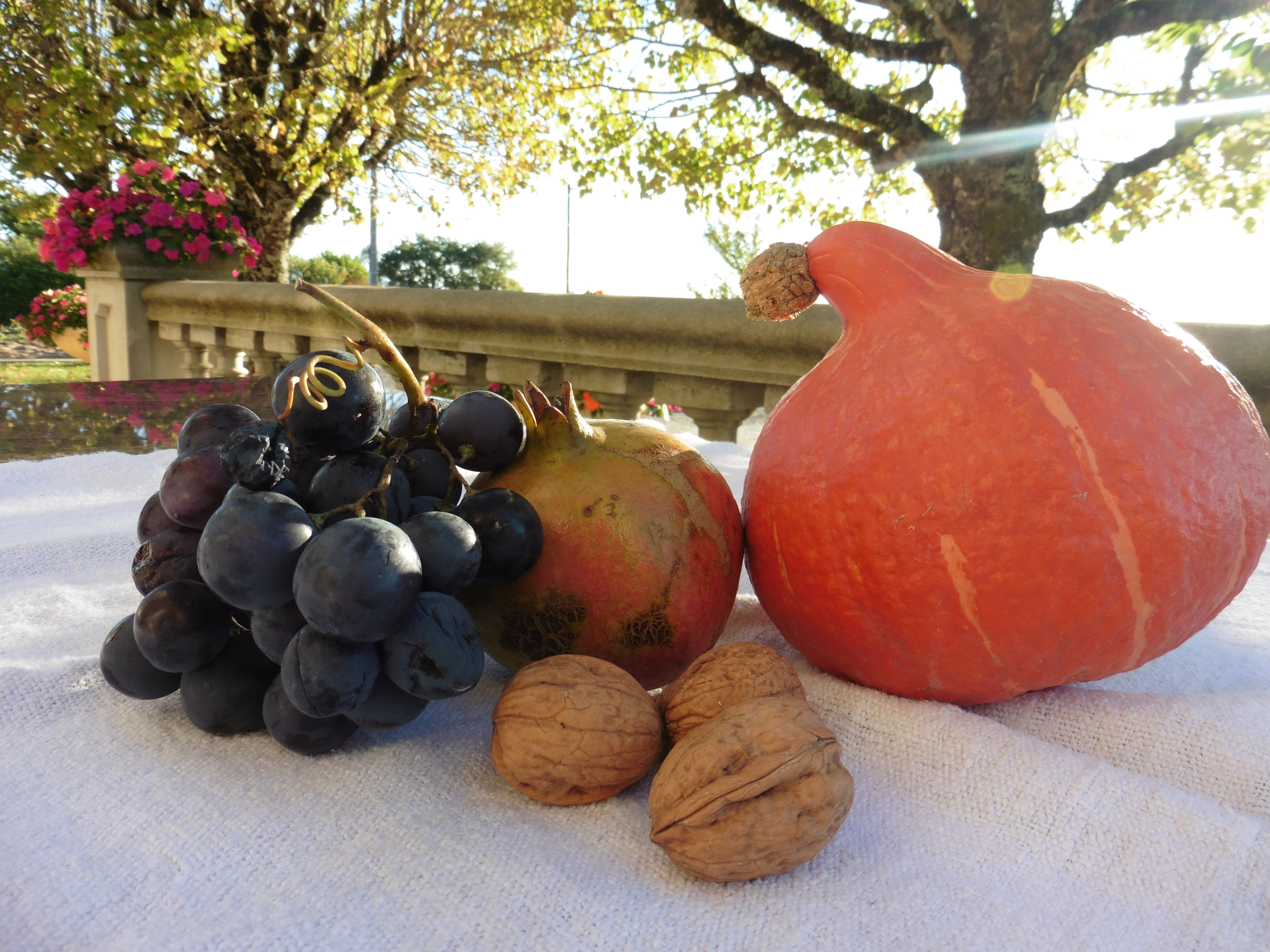 légumes d'automne